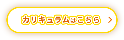 カリキュラムはこちら